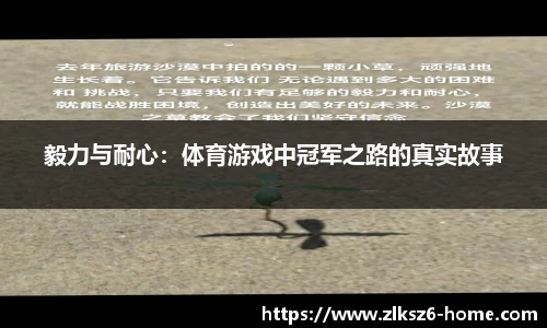 z6尊龙凯时官网